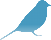 blue bird hint